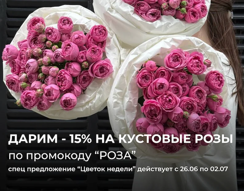 -15% на кустовые розы по промокоду Роза